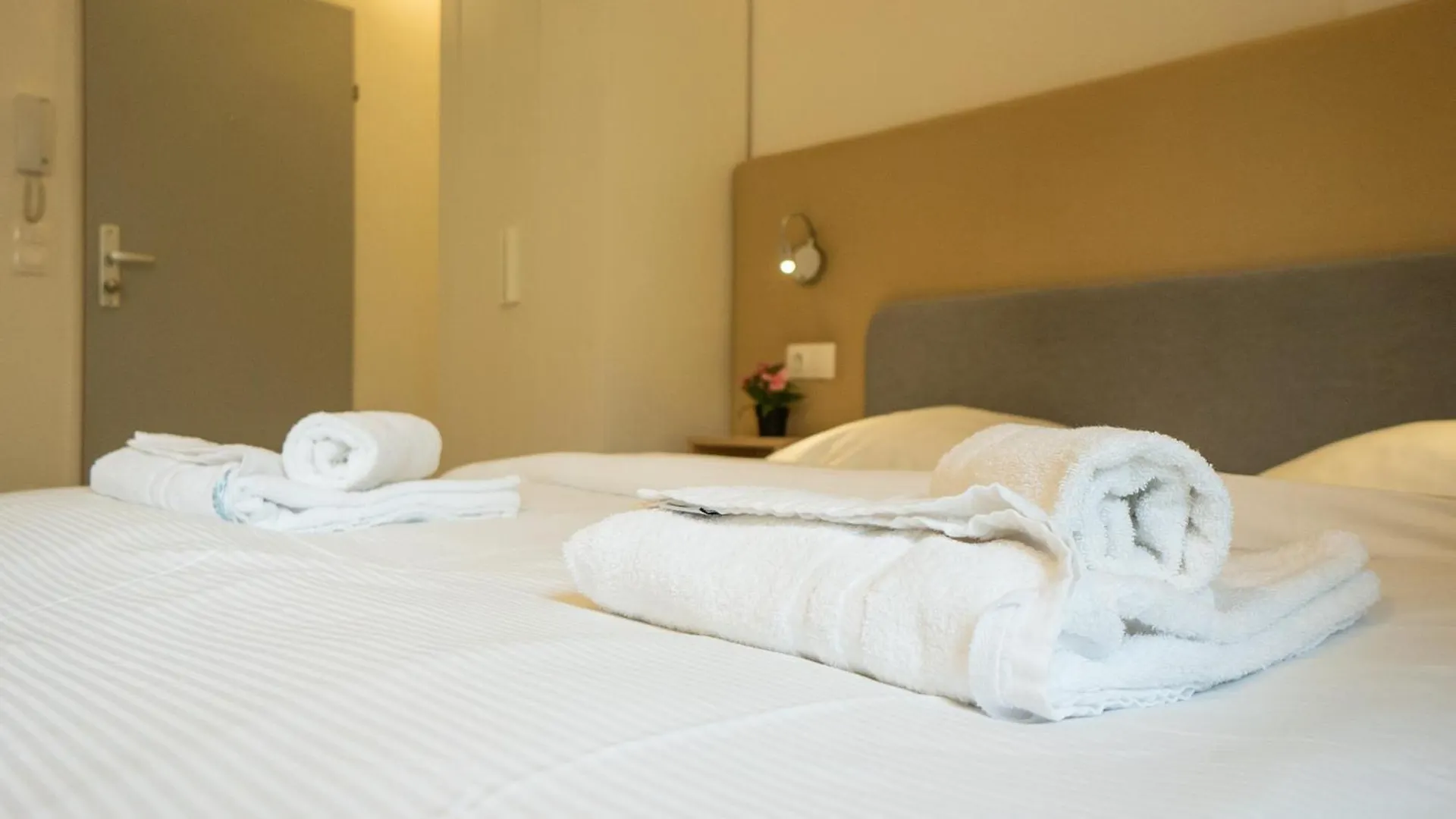 Comfort Studio With Queen-Size Bed, Self Check-In Vienna